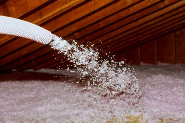 Best Commercial Insulation in Lexington Park, MD