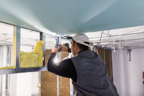 Best Insulation Installation Services in Lexington Park, MD