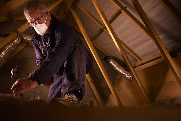 Best Insulation Materials and Products in Lexington Park, MD